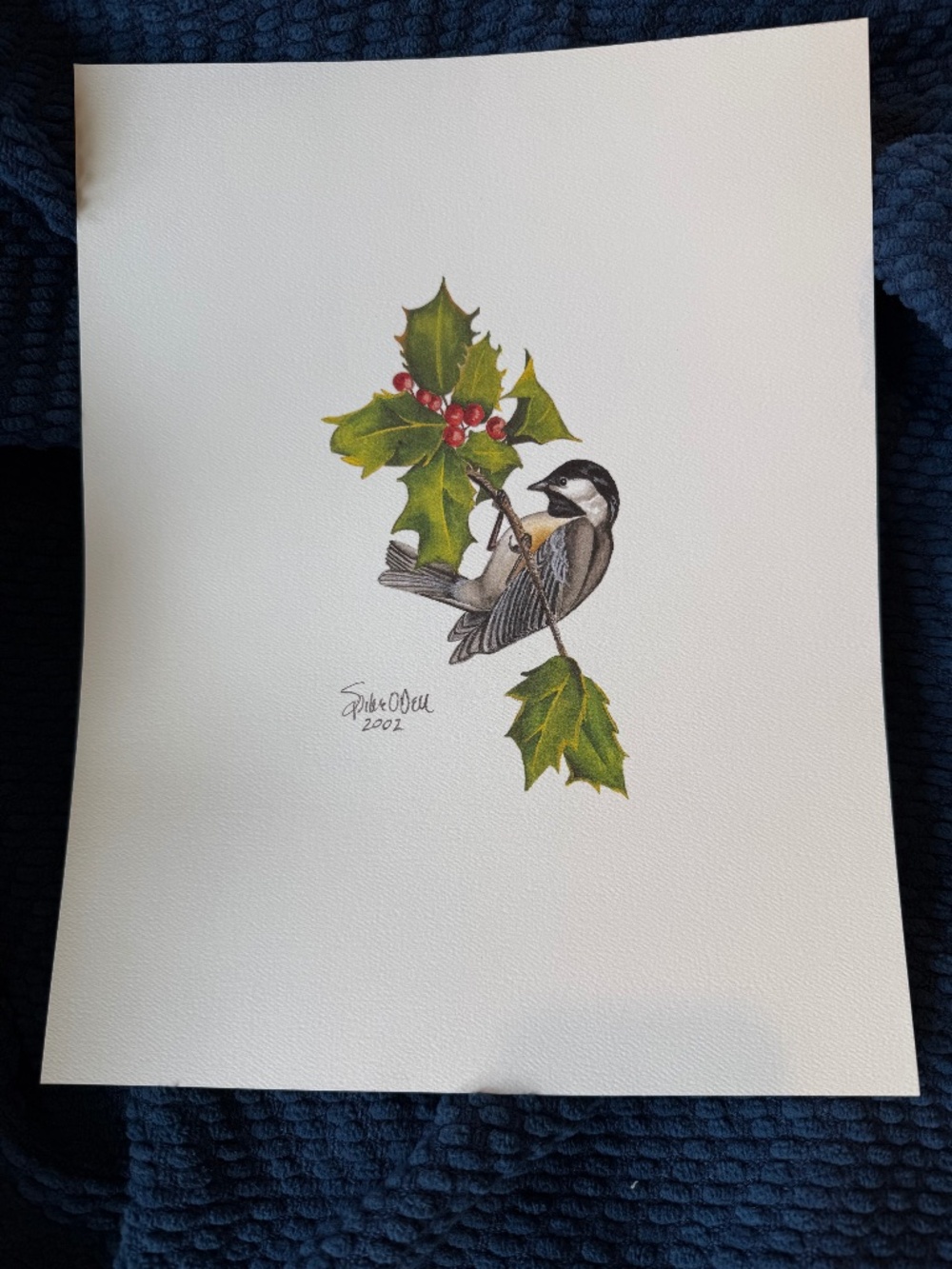 Chicago WGN’s Spike O’Dell Hand-Signed Chickadee Bird and Holly Print - 2002